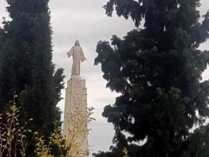 Excursión con los grupos de la limpieza 2019