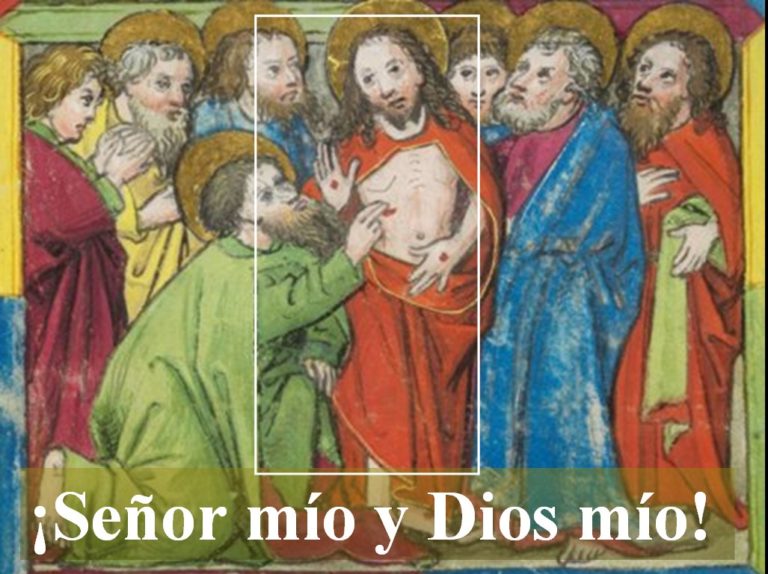 Día 19, domingo de la Misericordia