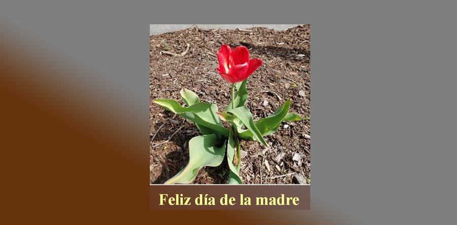 Día de la madre
