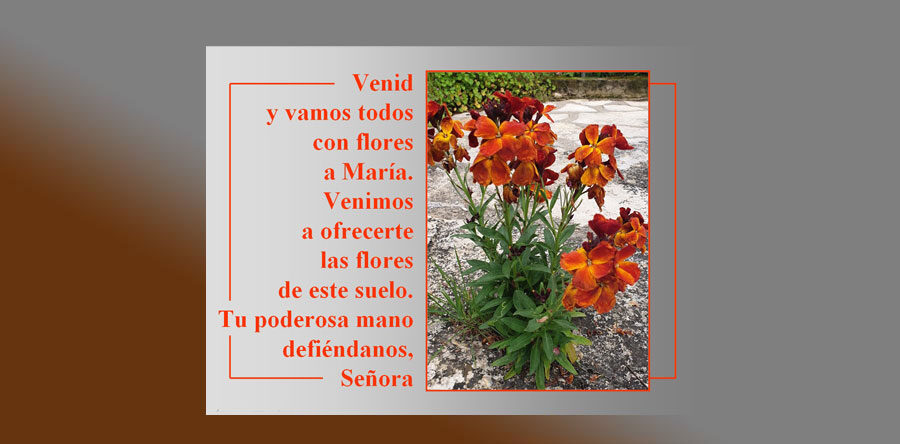 Mes de mayo, mes de la flores