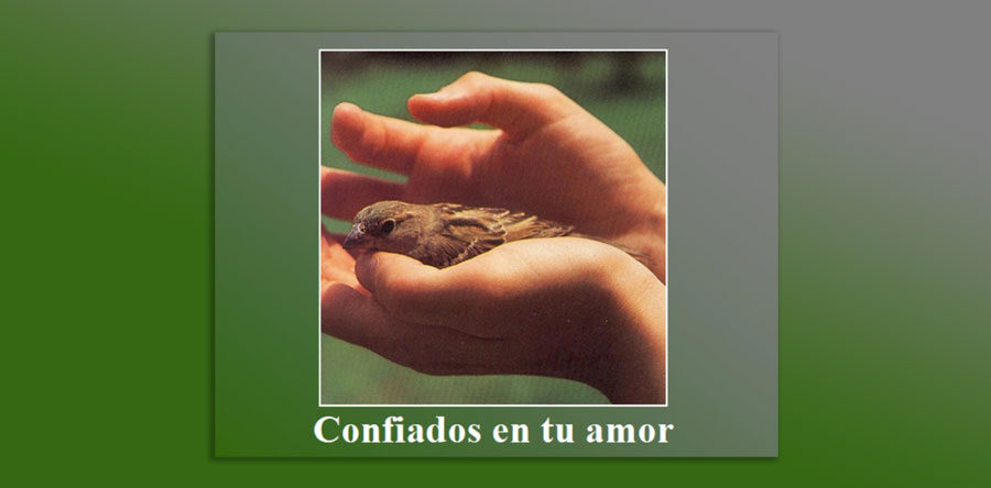 Confiados en Tu amor