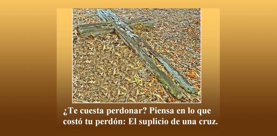 XXIV domingo del Tiempo Ordinario