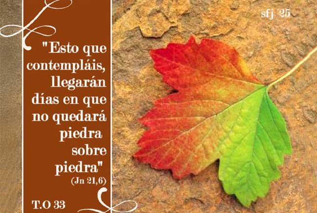 Domingo 32 Tiempo Ordinario