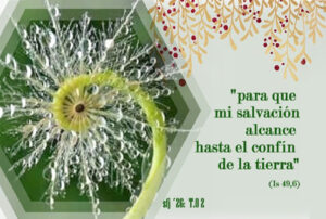 2º domingo del Tiempo Ordinario