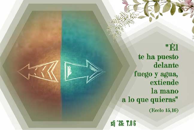 Domingo 6º del Tiempo Ordinario