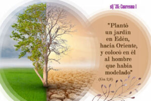 Domingo 1º de Cuaresma