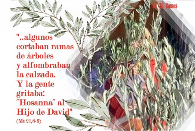 domingo de ramos