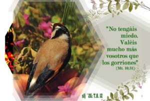 Domingo Tiempo Ordinario 12