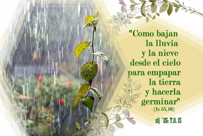 Domingo Tiempo Ordinario