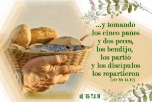 Domingo Tiempo Ordinario