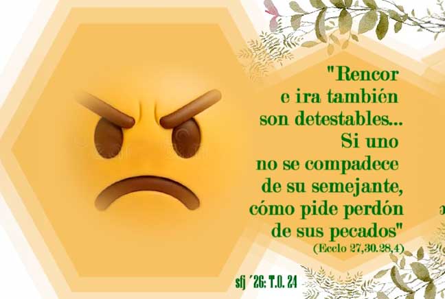 Domingo Tiempo Ordinario