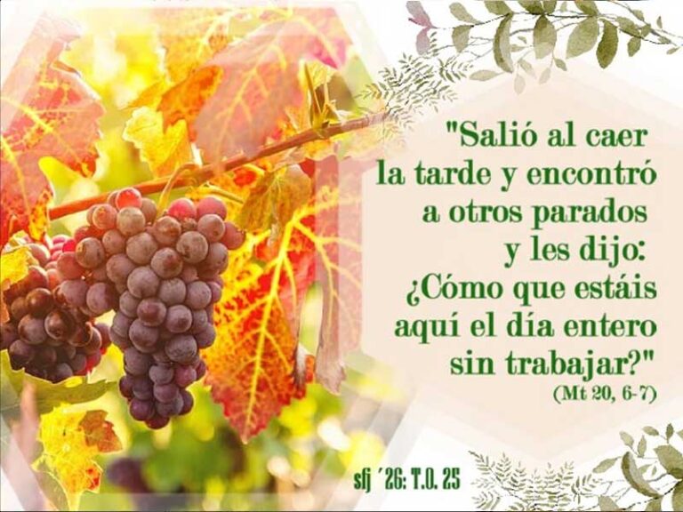 Domingo Tiempo Ordinario