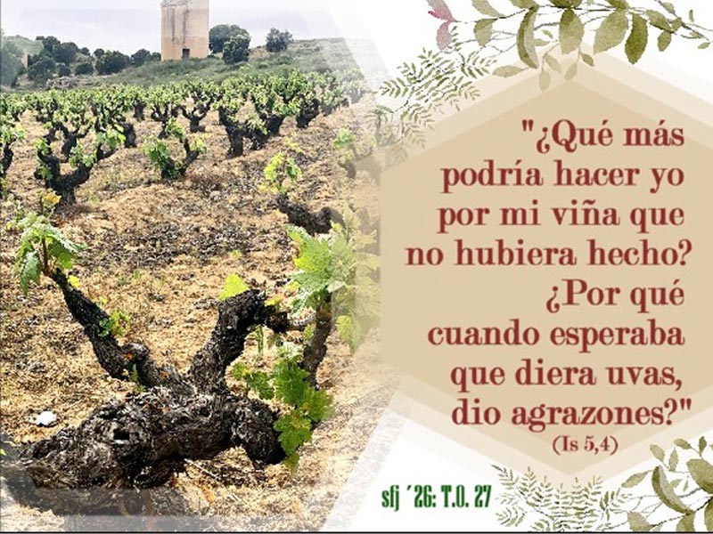 Domingo Tiempo Ordinario